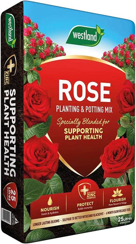 rose potting mix