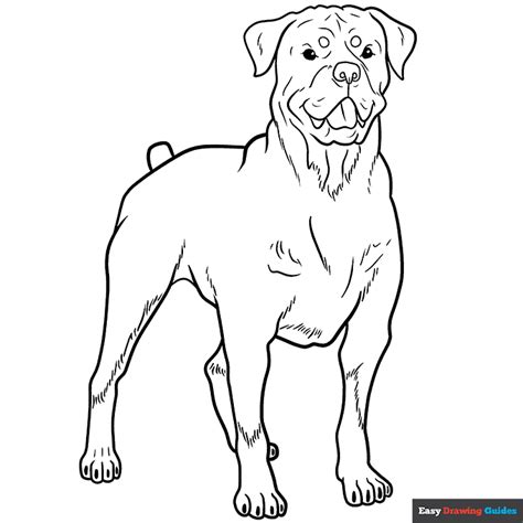 rottweiler coloring pages