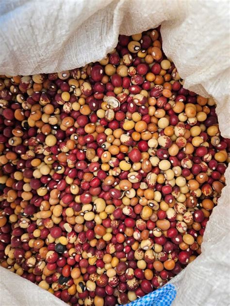 round nuts