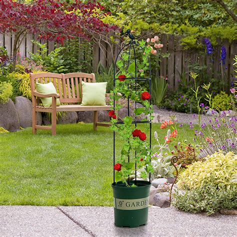 The Ultimate Guide to Round Trellis for Climbing Plants