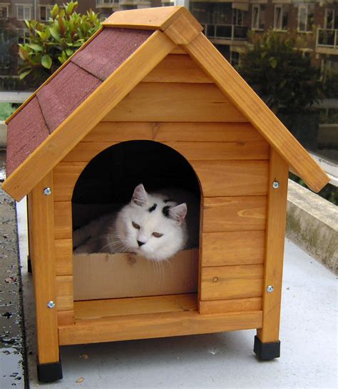 rumah kucing kabin