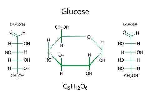 glukosa