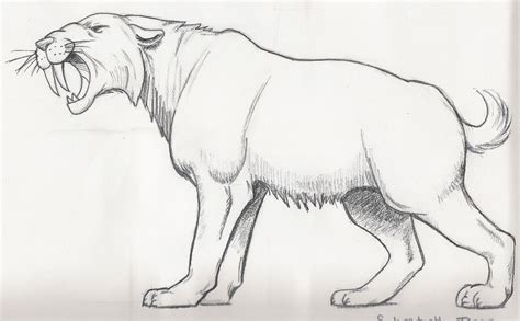 sabre tooth tiger colouring pages