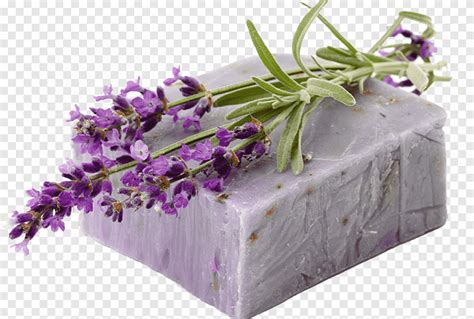 sabun lavender