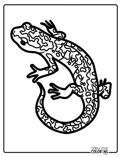 salamander coloring pages