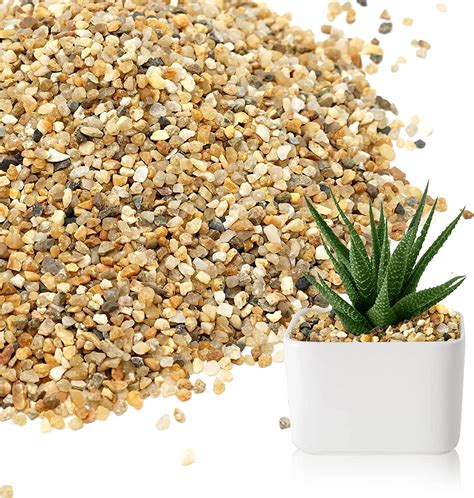 sand as top dressing for succulents