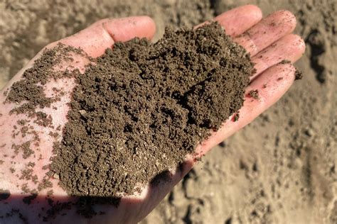 sand or topsoil