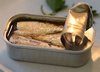 Sardines during pregnancy