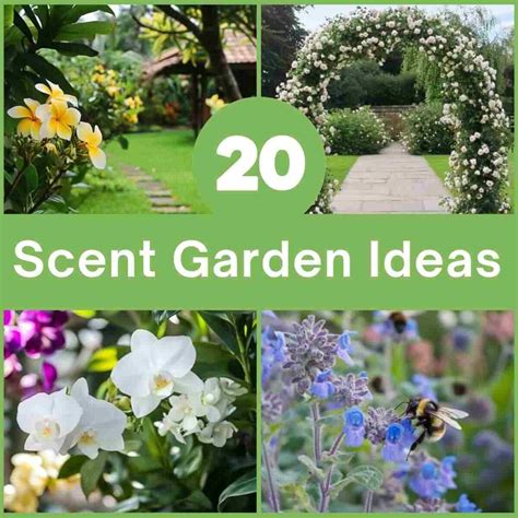scent garden