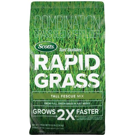 scotts rapid grass