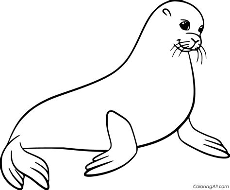 sea lion coloring pages