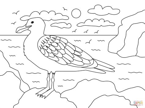 seagull coloring pages