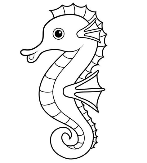 seahorse colouring pages