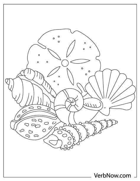 seashell coloring page