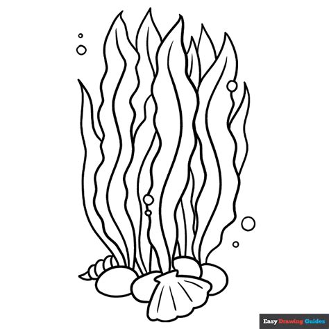 seaweed coloring pages