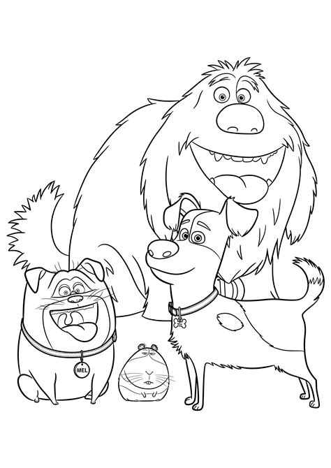 secret lives of pets coloring pages