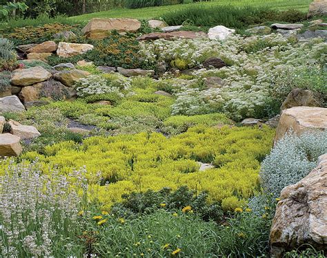 sedum garden