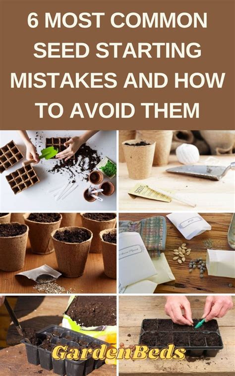 seed starting mistakes