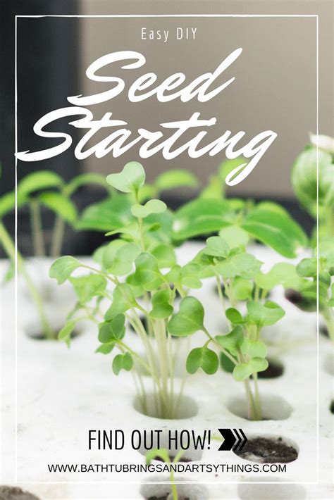 seed starting tips and tricks