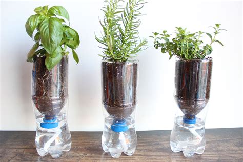 self watering planters diy soda bottle