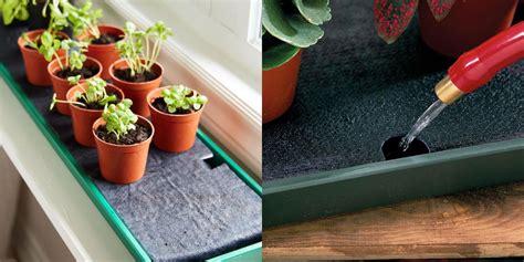 self watering tray