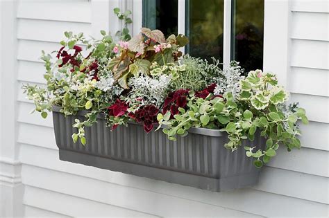 self watering window boxes