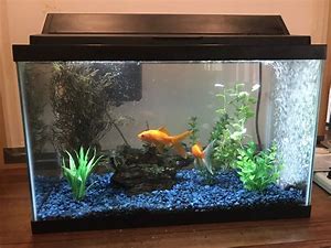 Setting up a fish tank