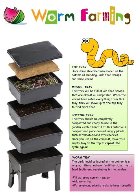 setting up a worm farm