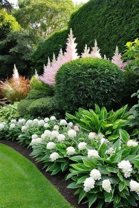 shade landscaping plants