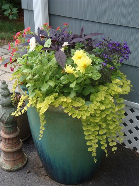 shade planters