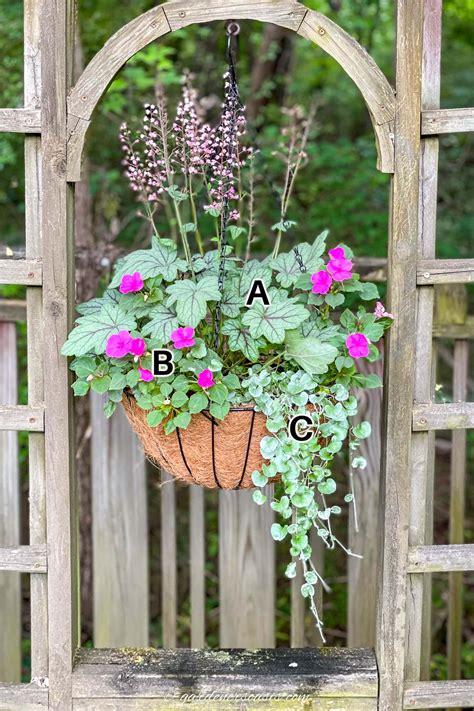 shade plants for hanging baskets