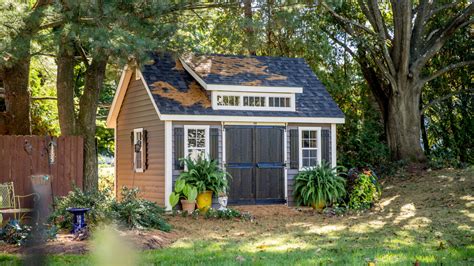 shed landscaping