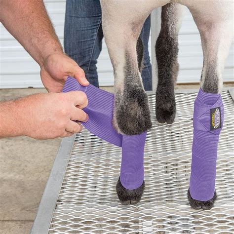 sheep leg wraps