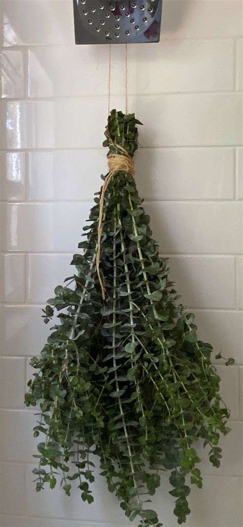 shower bundle