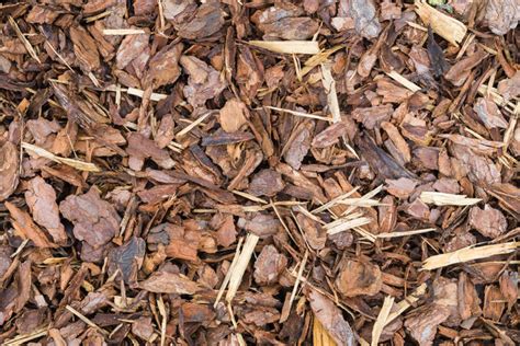 shredded pine mulch