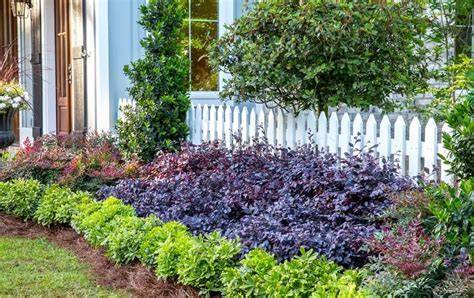 shrubs for flower beds