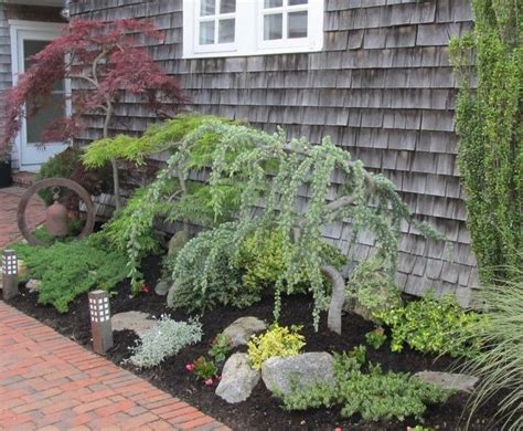 shrubs you can plant close to the house