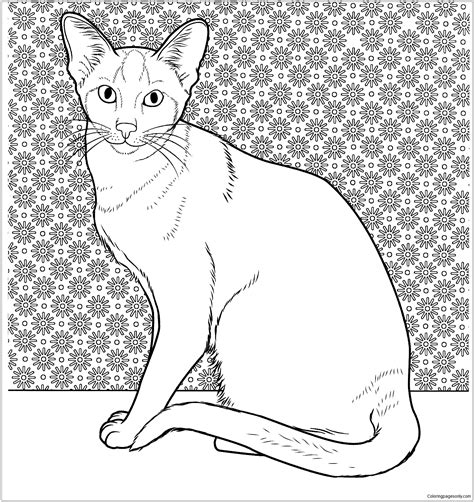 siamese cat coloring pages