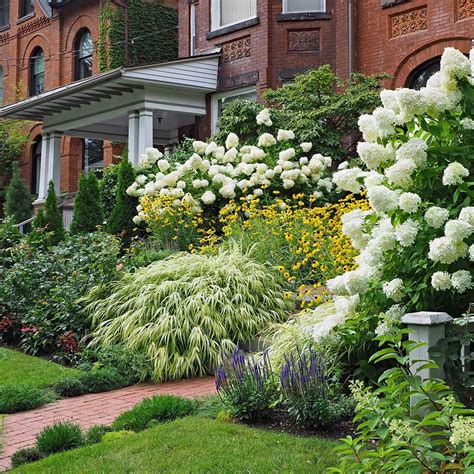 side yard shrubs