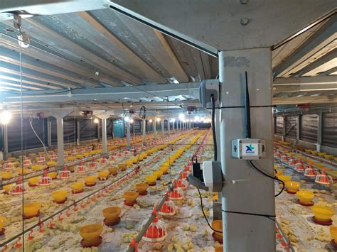 Sistem teknologi kandang broiler