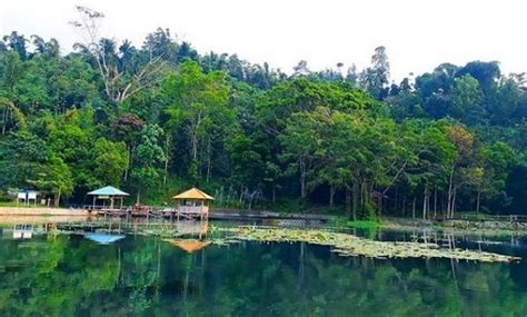 Situ Janawi