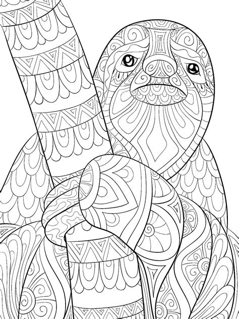 sloth coloring pages for adults