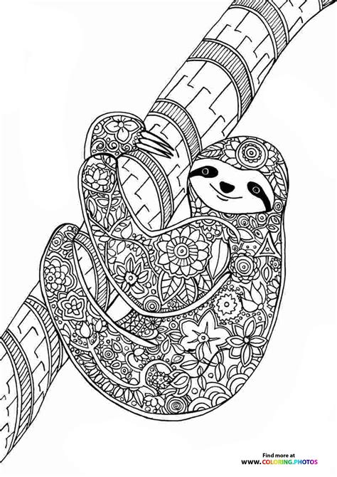 sloth coloring pages for adults