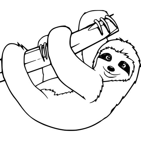 sloth pictures to colour