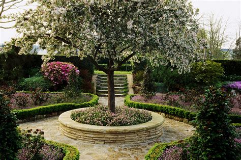 small ornamental shade trees