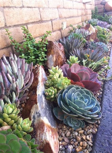 small succulent garden