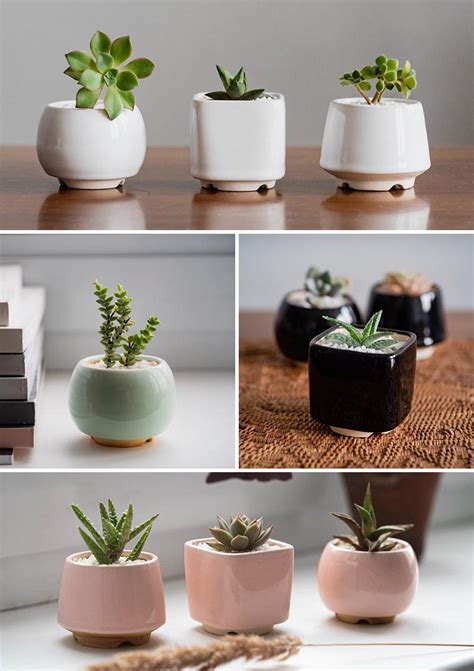 small succulent pots