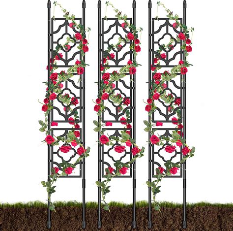 small trellis for climbing plants