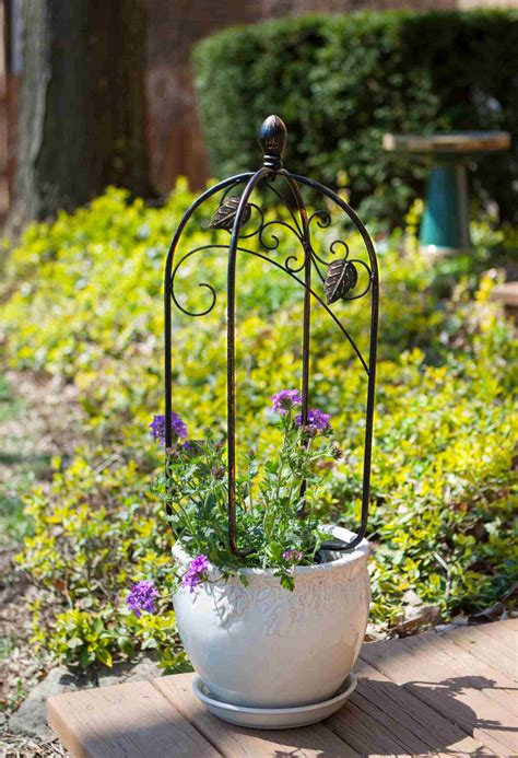 small trellis for potted plants