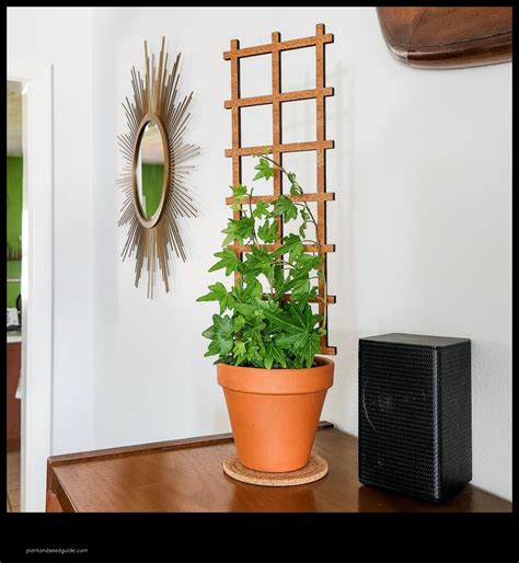 small trellis for potted plants